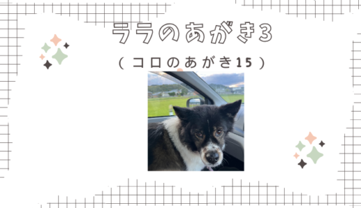 ワクチン接種体験日記：ドキドキと安心の一日　ララのあがき3（コロのあがき15）