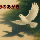光と影