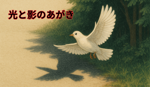 ガードレールの影が教えてくれた不思議　光と影のあがき✨