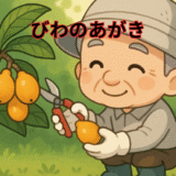 びわの摘果